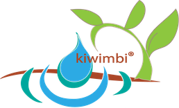 Kiwimbi International